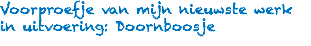 Voorproefje van mijn nieuwste werk in uitvoering: Doornboosje